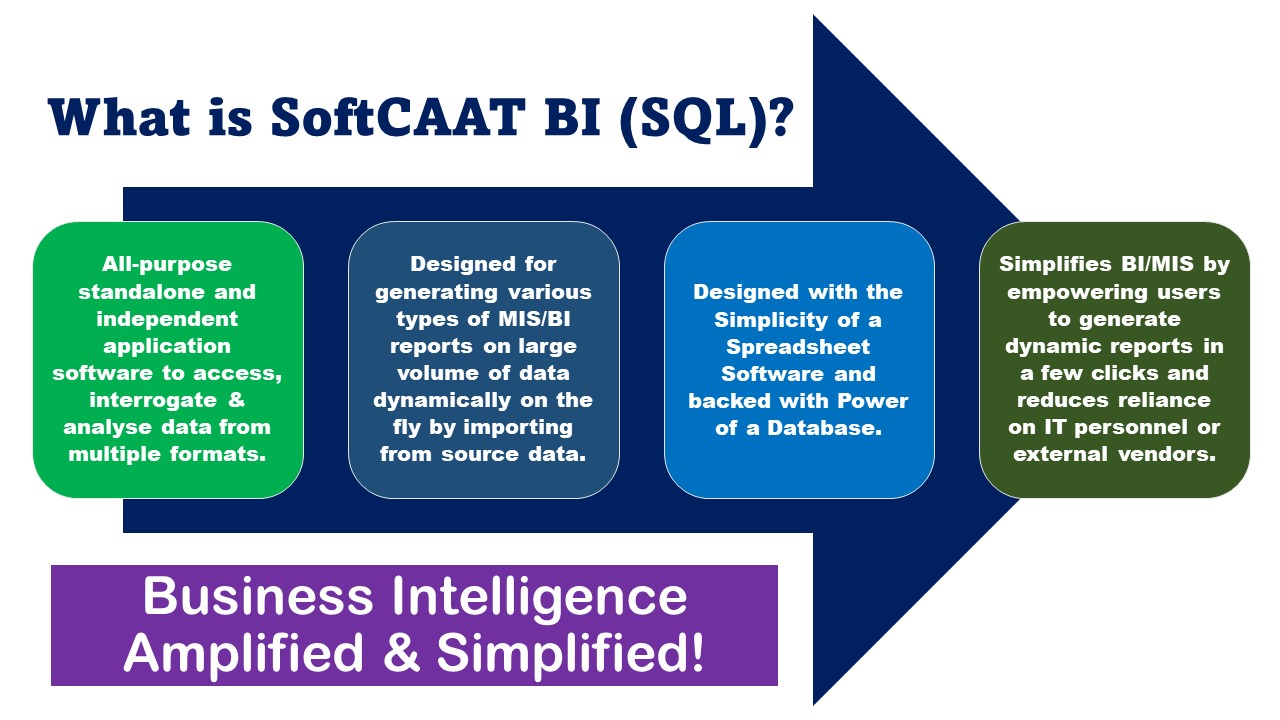 What is SoftCAAT BI SQL 1