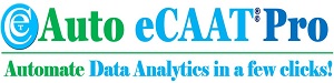Auto eCAAT Pro Product Logo