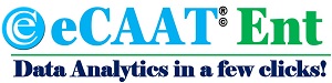 eCAAT Enterprise Product Logo