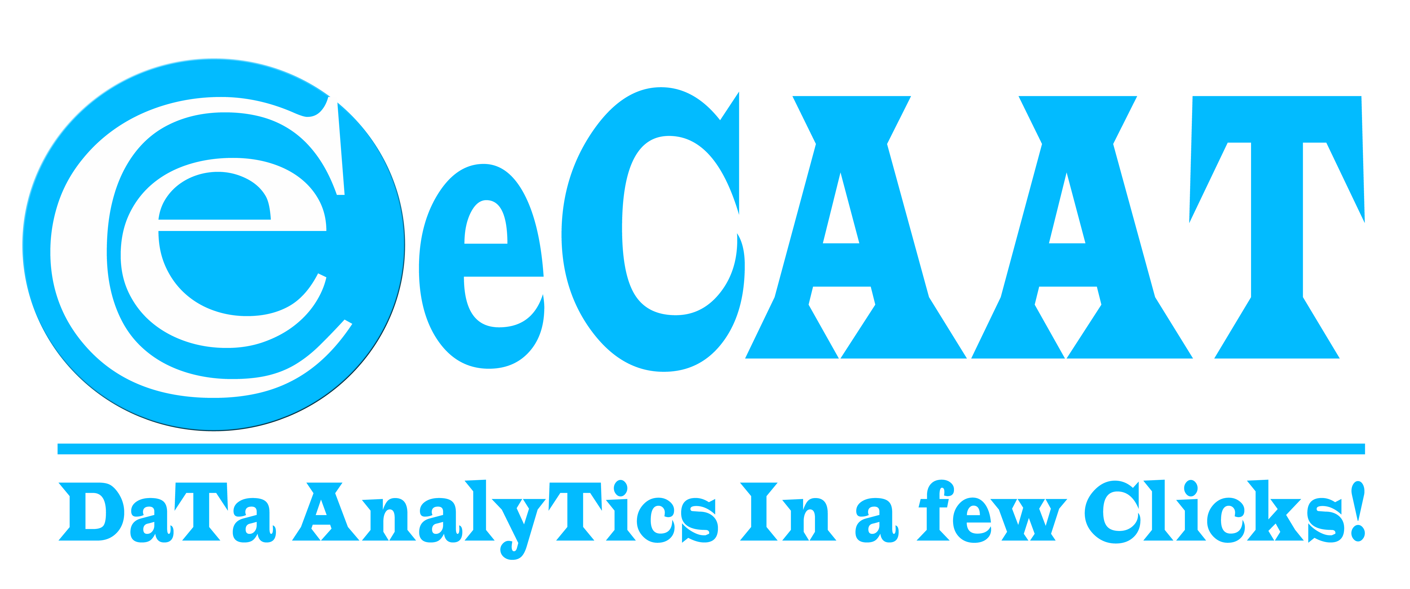 eCAAT Software Logo