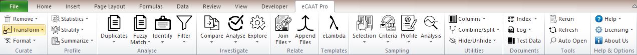 eCAAT Pro Panel Image
